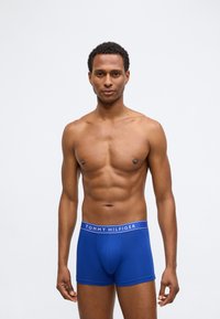 Kék pamut boxer nadrág fehér elasztikus derékkal, rajta a "TOMMY HILFIGER" logóval. A fazon szoros és testhez álló.