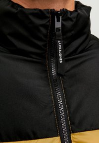 Jack & Jones JJETOBY PUFFER COLLAR - Giacca invernale - honey gold