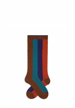 LUNGHE FANTASIA RIGHE VERTICALI DI QUATTRO - Calzettoni - brown