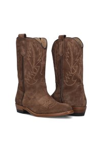 Brown suede cowboy boots with decorative stitching and a pointed toe. Features side pulls and a low heel. Smooth leather sole with subtle accents.