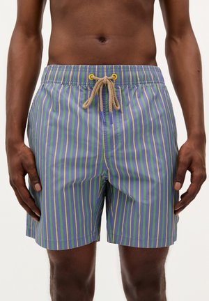 Costumi da bagno di colore azzurro chiaro con strisce verticali verdi e viola, dotati di un cinturino elastico e un cordino beige.