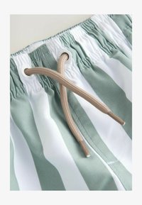 Pasirinkta, green and white stripe