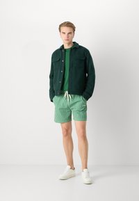 Les Deux STAN STRIPE SWIM - Šortky - vintage green/light ivory