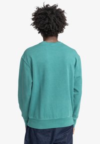 Persona con capelli ricci che indossa una felpa a maniche lunghe color teal e pantaloni scuri, mostrata di spalle su uno sfondo bianco.