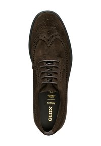Scarpa oxford in suede marrone con design perforato, punta rotonda e chiusura con lacci. All'interno presenta il marchio "GEOX Respira" sulla soletta.