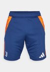 JUVENTUS TURIN TRAINING SHORT - Calções desportivos - team navy blue