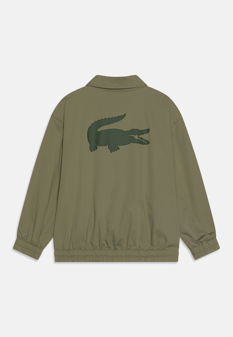 Lacoste Veste mi-saison khaki/kaki