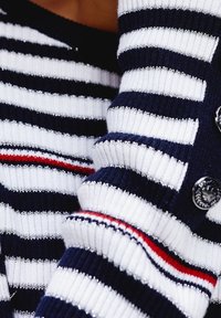 Marineblauw-wit gestreepte gebreide trui met rode accenten, met geribbelde textuur en metallic draad, gedetailleerd met grote knopen.