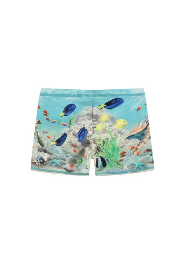 NORTON PLACED TRUNKS - Swimming trunks - happy ocean3