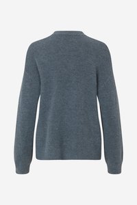 Maglione azzurro chiaro lavorato a maglia con scollo rotondo e maniche lunghe, caratterizzato da una trama morbida e polsini a coste. Vista posteriore mostrata.
