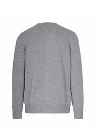 Maglione grigio chiaro con colletto rotondo, maniche lunghe e polsini e orlo a coste. Tessuto a maglia testurizzato, design minimalista, senza loghi visibili.