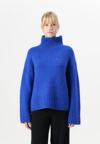 Frau in einem leuchtend blauen, grob gestrickten Rollkragenpullover mit langen Ärmeln und schwarzen Hosen, stehend vor einem weißen Hintergrund.
