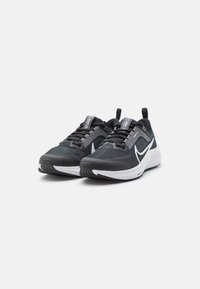 Nike Performance Zapatillas running asfalto - black