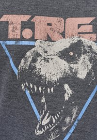 Grijze stoffen t-shirt met een verweerd graphic van een dinosaurusschedel en de letters "T.R.E." in het roze, omrand door een blauwe driehoek.