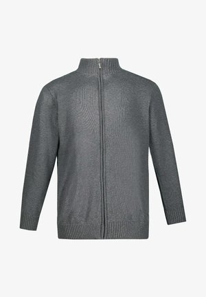 Maglione grigio con zip, colletto alto a coste, tessuto lavorato a maglia e polsini e orlo a coste. Presenta una zip completa sul davanti.