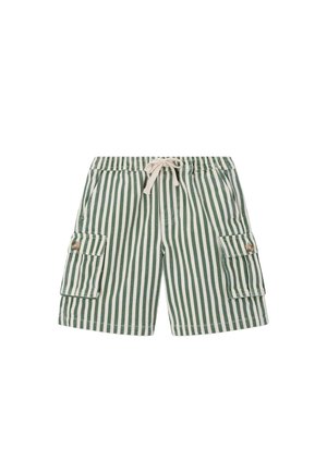Shorts rayés verticalement vert et blanc avec poches avant, poches cargo sur les côtés et cordon blanc à la taille élastique.