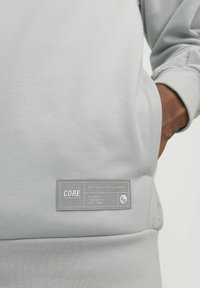 Lys grå sweatshirt med en glat tekstur, prydet med et rektangulært CORE-label i kontrasterende grå med hvid tekst og koordinater.