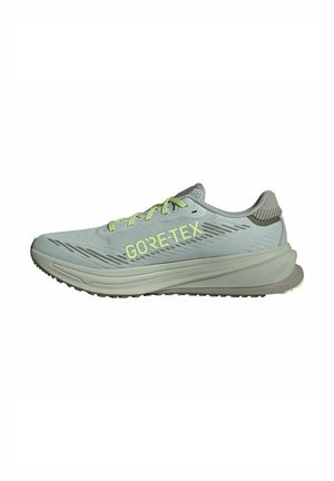 adidas Performance SUPERNOVA RISE GTX - Road running shoes - wonsil silvmt olistr