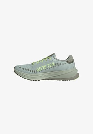adidas Performance SUPERNOVA RISE GTX - Road running shoes - wonsil silvmt olistr