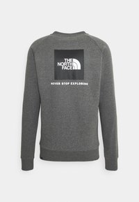 Felpa grigia con colletto tondo. Presenta un logo rettangolare nero sul retro e la scritta "NEVER STOP EXPLORING" in bianco.