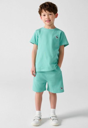 Young boy standing wearing a matching mint green t-shirt and shorts with zebra patches, white socks, and white sneakers with colorful details.