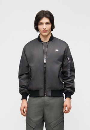 WORLD LOGO - Μπουφάν τύπου bomber - vintage grey