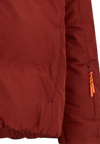 Ziener AWAR - Snowboard jacket - brown