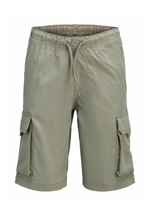 Lysegrønne cargoshorts med elastisk midjebånd, snor og klaffelommer på hver side.