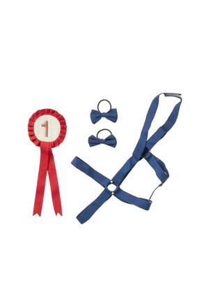 HOBBY HORSE  - Toy - multi colours