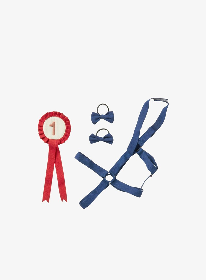 Red ribbon rosette with “1” in white, two blue fabric bow ties, and a blue harness with straps and a circular connector.