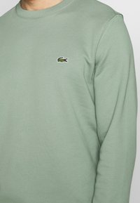 Felpa in cotone verde chiaro con scollatura rotonda e polsini a coste. Presenta un piccolo logo di coccodrillo ricamato sul lato sinistro del petto.