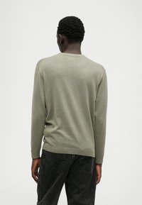 Maglione verde polveroso con scollatura rotonda a costine e maniche lunghe. Tessuto lavorato a maglia, leggermente aderente in vita, abbinato a jeans scuri.