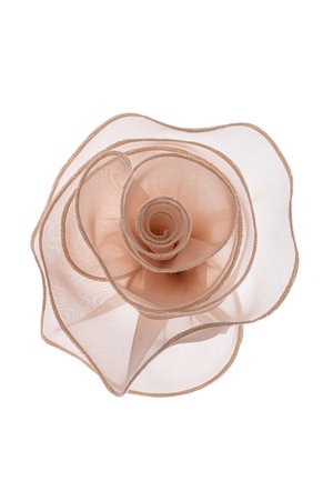 Beżowa półprzezroczysta tkanina uformowana w spiralny różę z delikatnie zaokrąglonymi brzegami na białym tle.