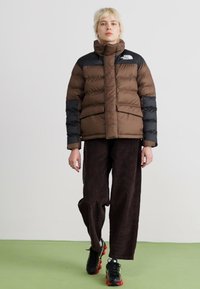 The North Face LIMBARA INSULATED JACKET - Giacca invernale - smokey brown