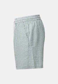 Shorts pour hommes à rayures verticales vert clair et blanc, avec taille élastique et poches latérales, vus de côté sur un fond uni.