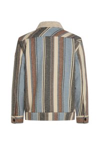 Veste rayée avec des bandes verticales bleues, marron, crème et grises, avec des poignets à boutons et un col en sherpa de couleur crème vu de l'arrière.