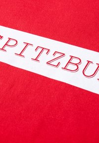 Roter Stoff mit einem weißen horizontalen Streifen, auf dem erhabener, gestickter Text in einer fetten, serifenlosen Schriftart "SPITZBURG" steht.