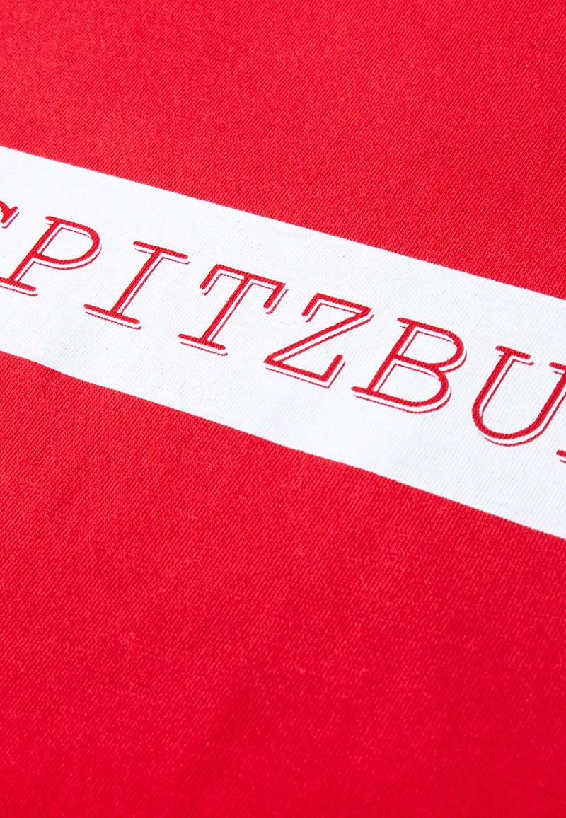 Herren T-Shirts basic | Spitzbub UDO T-Shirt print rot - AW02433 Herren T-Shirts basic | Spitzbub UDO T-Shirt print rot - AW02433
