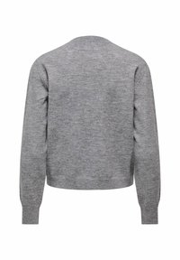 Szary dzianinowy sweter widziany z tyłu, z długimi rękawami, okrągłym dekoltem i miękką teksturą bez widocznych wzorów czy elementów metalowych.