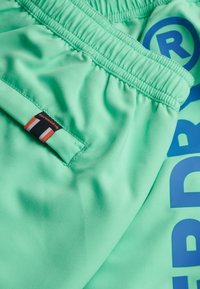 Shorts sportivi verde menta con vita elastica, una piccola tasca con linguetta e una scritta "DRY" in blu brillante.