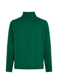 Grüner Langarmpullover mit hohem Kragen, aus weichem Stoff gefertigt. Verfügt über Raglanärmel und eine glatte Textur, ohne sichtbare Beschläge oder Muster.