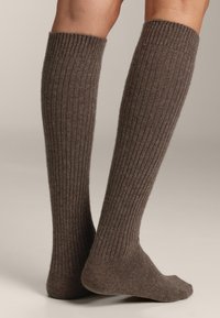 OYSHO 21% CASHMERE 14% WOOL LONG - Knæstrømper - mottled dark brown