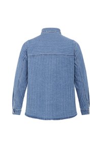 Cămașă din denim albastru, cu dungi albe verticale, manșete cu buton și guler clasic. Vederea din spate arată o textură netedă.