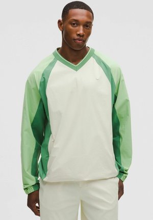 Junger Mann trägt einen langärmeligen, grünen und elfenbeinfarbenen Pullover mit V-Ausschnitt und elastischen Bündchen, steht vor einem schlichten hellen Hintergrund.