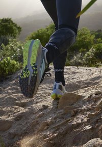 Adidas Terrex - TERREX SOULSTRIDE FLOW GTX - Chaussures de marche - silver/semi flash aqua/lucid lemon Image miniature 1