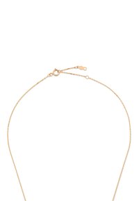 Gouden ketting met een fijn, delicaat ontwerp. Voorzien van een haaksluiting en verstelbare lengte met kleine cirkelvormige accenten.