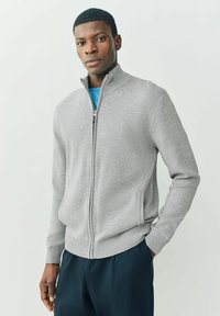 Gray zip-up sweater with a high collar, ribbed cuffs, and two side pockets. Worn over a blue shirt, with a smooth texture.
