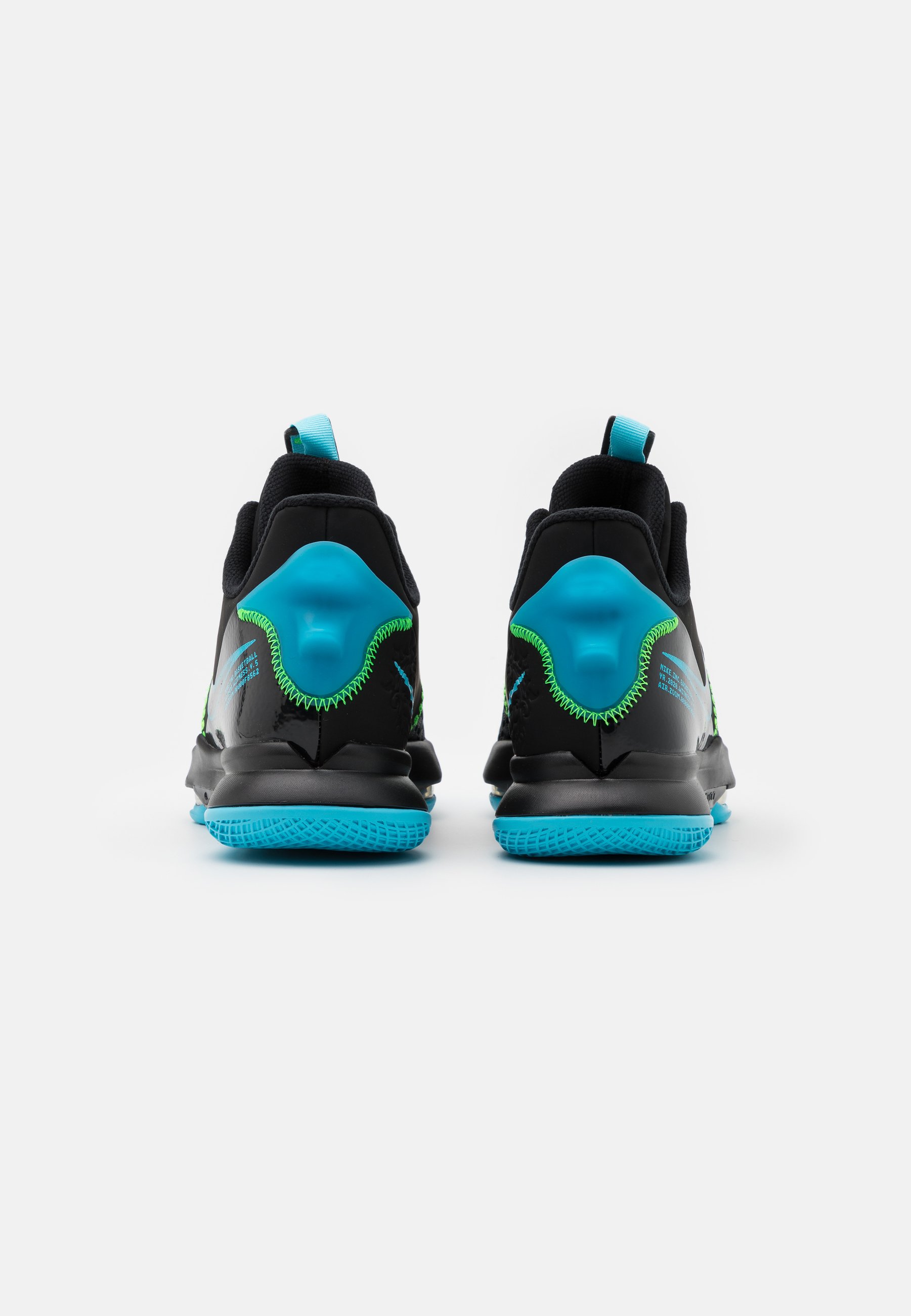 Nike Performance LEBRON WITNESS 5 