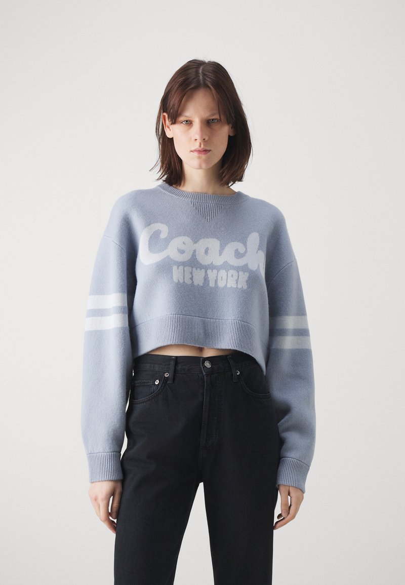 COACH SWEATER - Jumper - blue - Zalando.co.uk