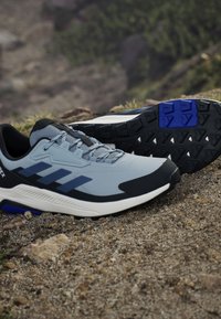 Adidas Terrex ANYLANDER - Obuća za penjanje - magic grey steel semi lucid blue